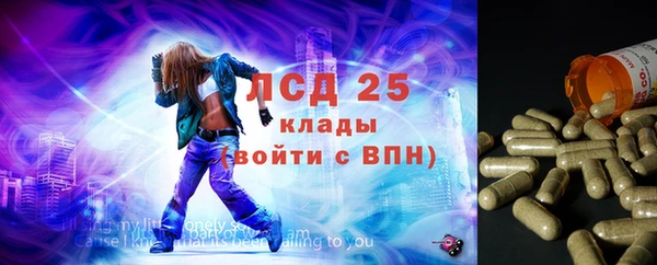 каннабис Аркадак